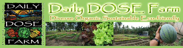Daily DOSE Farm