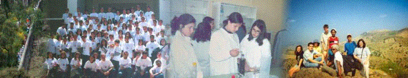 [Olim+Ambiente2.GIF]
