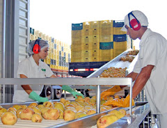 Oferta de Fabricas Istalada Procesamiento de Frutas p/ Su Negocio Propio. SALON EMPRENDEDOR ECUADOR