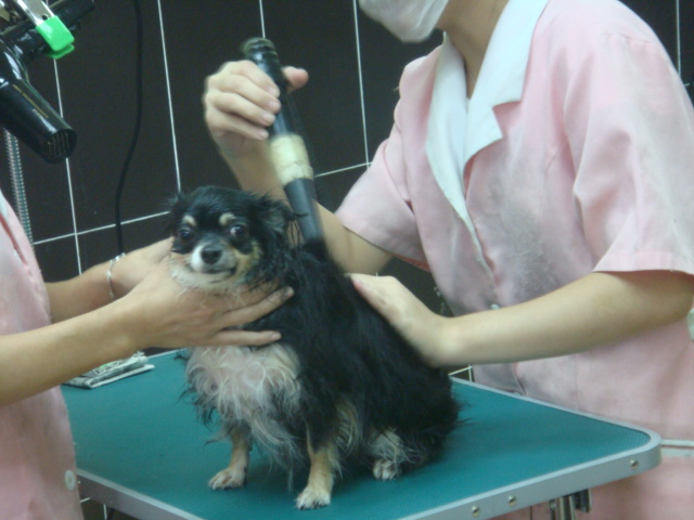 [DSC01244.JPG]