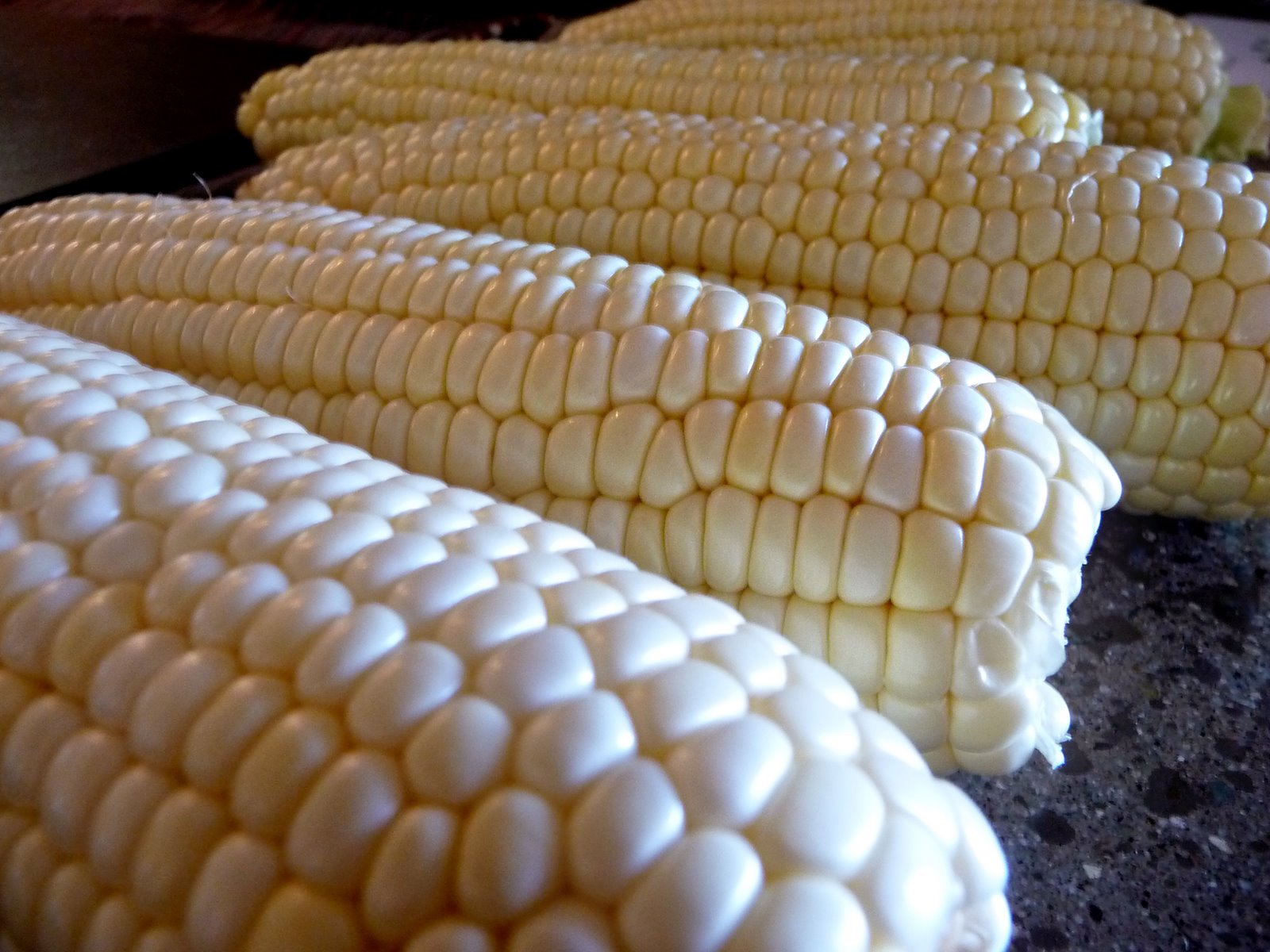 [corn.jpg]