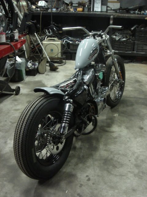 [dsc08598.jpg]