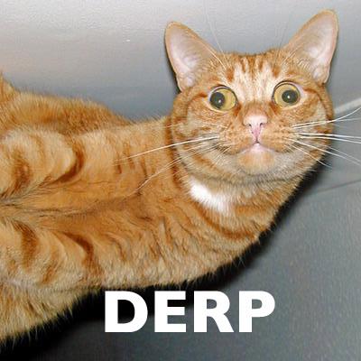Derp Man