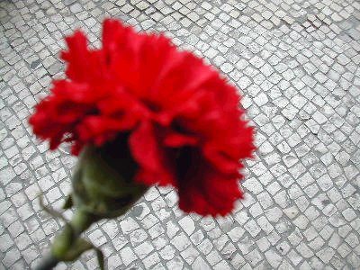 [sem+tÃ&shy]