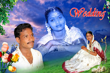 PHOTO SHOP ALBUM BACKDROPS FOR SALE