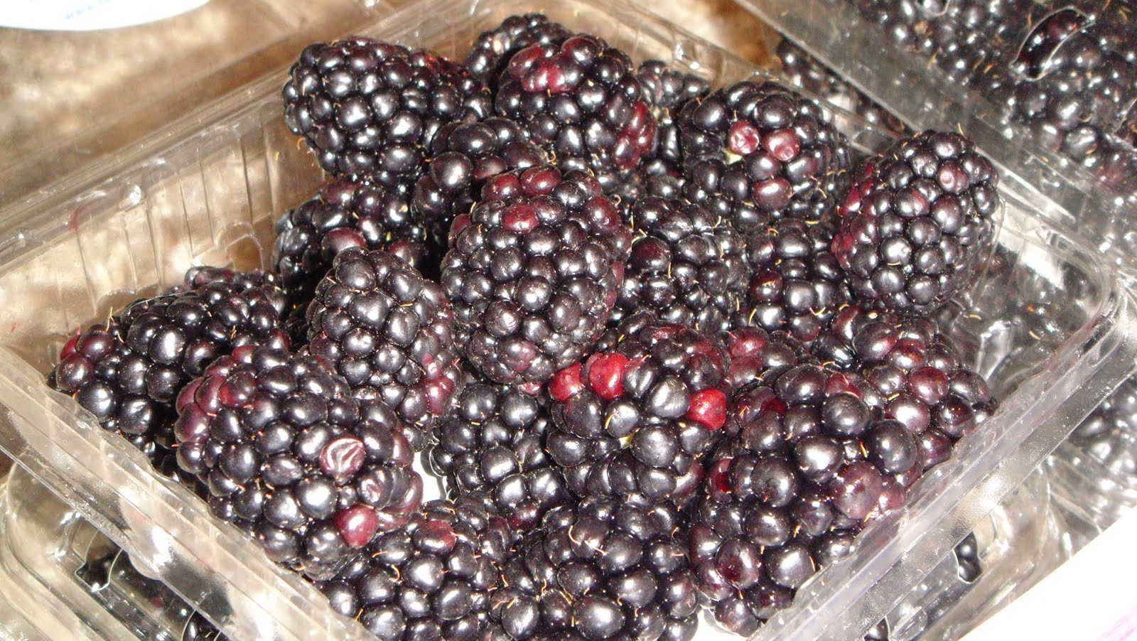 [DSC01353.JPG]