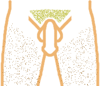 [bikini_m_3x_bleach.gif]