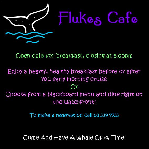 My Flukes Cafe Poster