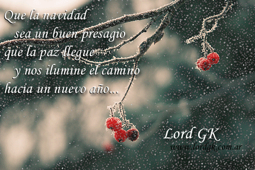 !feliz navidad¡