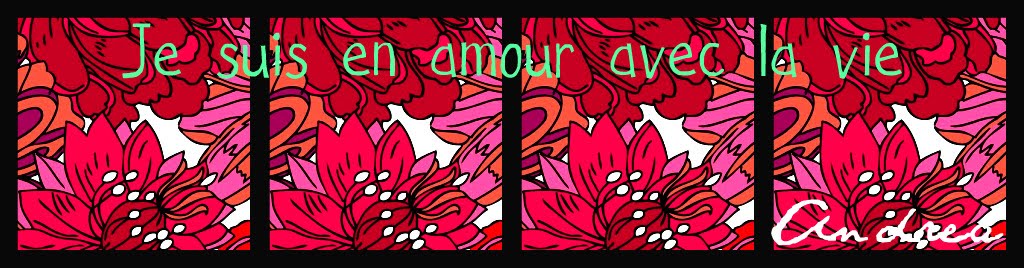 Mi blog!