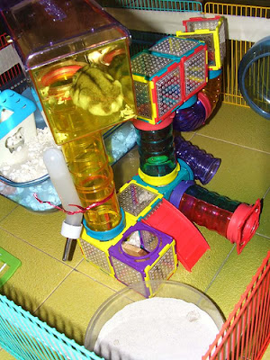 mega hamster cages
