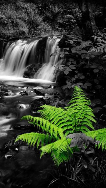 Free wallpapers for Nokia 5800 Xpressmusic - 360x640 PIXHOME
