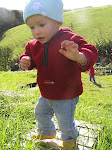 Hamish