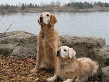 Golden memories