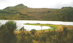 LAGUNA SAGRADA DE CHISACÁ-