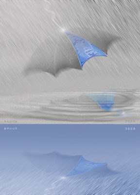 digital image - after rain - 01 