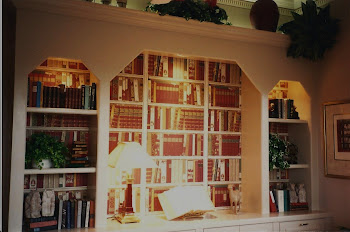 Model Home Magic Wall of Books