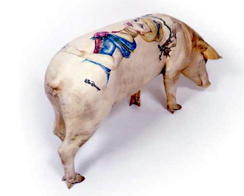 Cerdos Tatuados