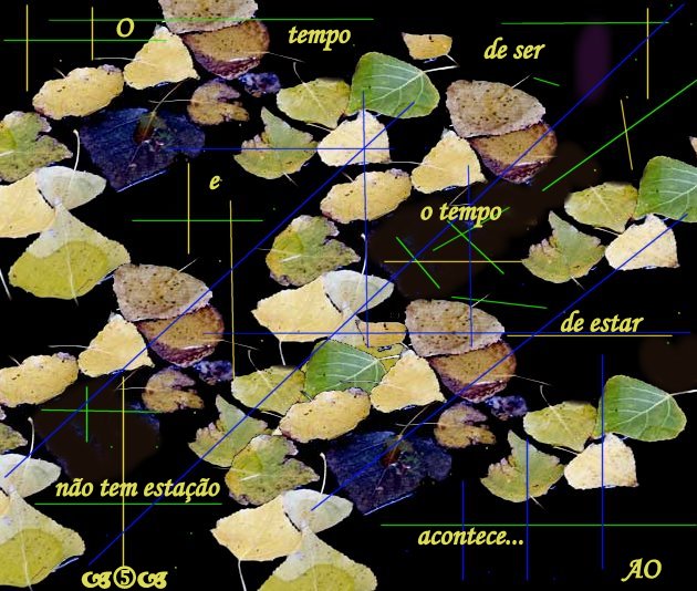 [Image2+b+n-3.jpg]