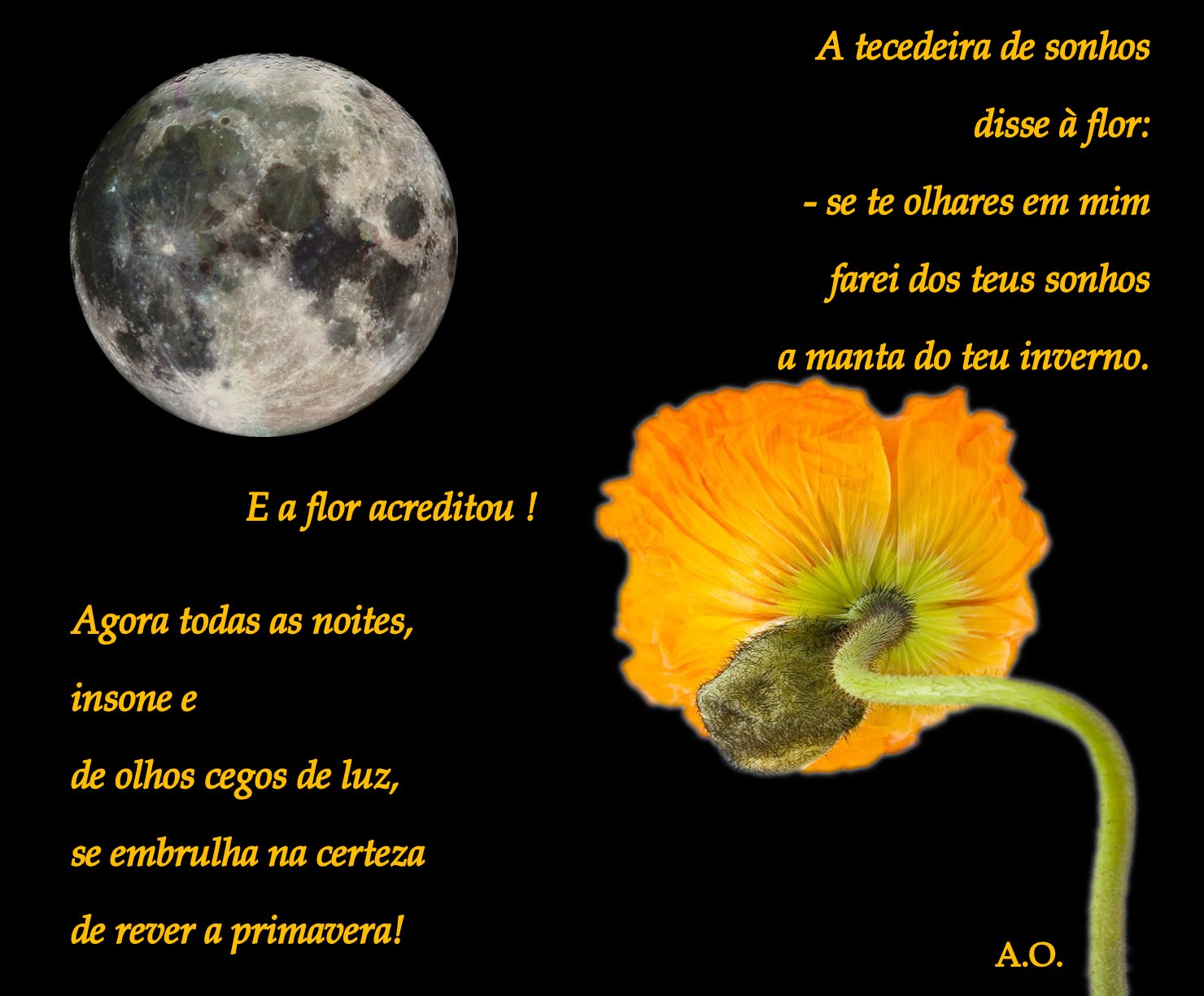 [lua+e+papo-2.jpg]