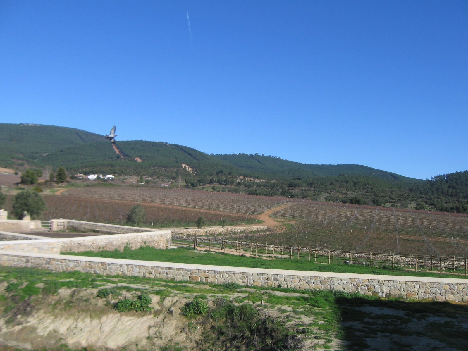 [Altas_Quintas2.jpg]