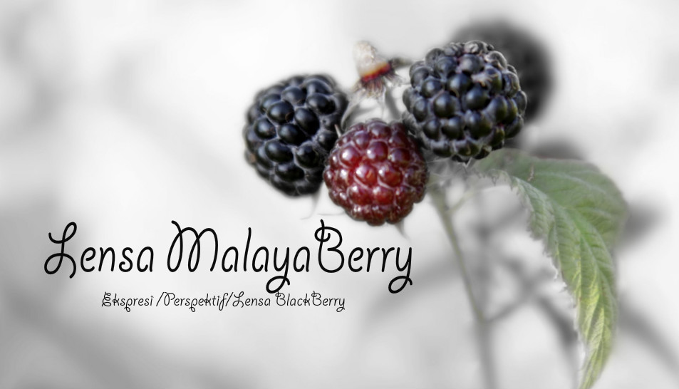 Lensa MalayaBerry.com