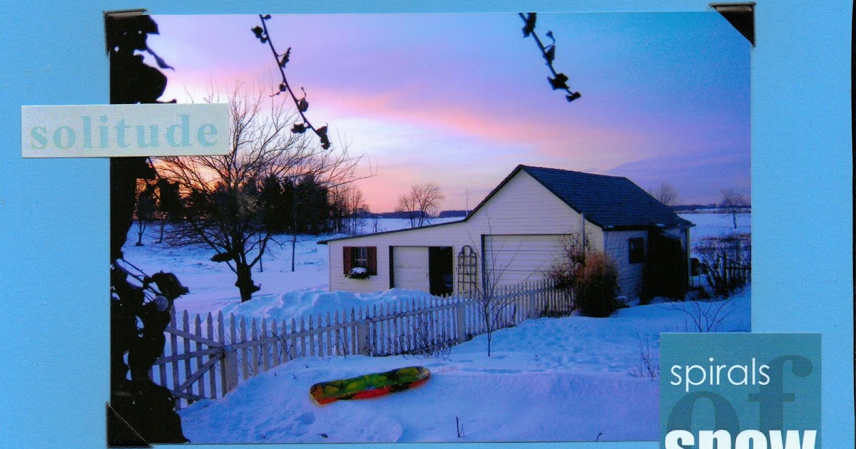 Tales from the Coop Keeper January in Review