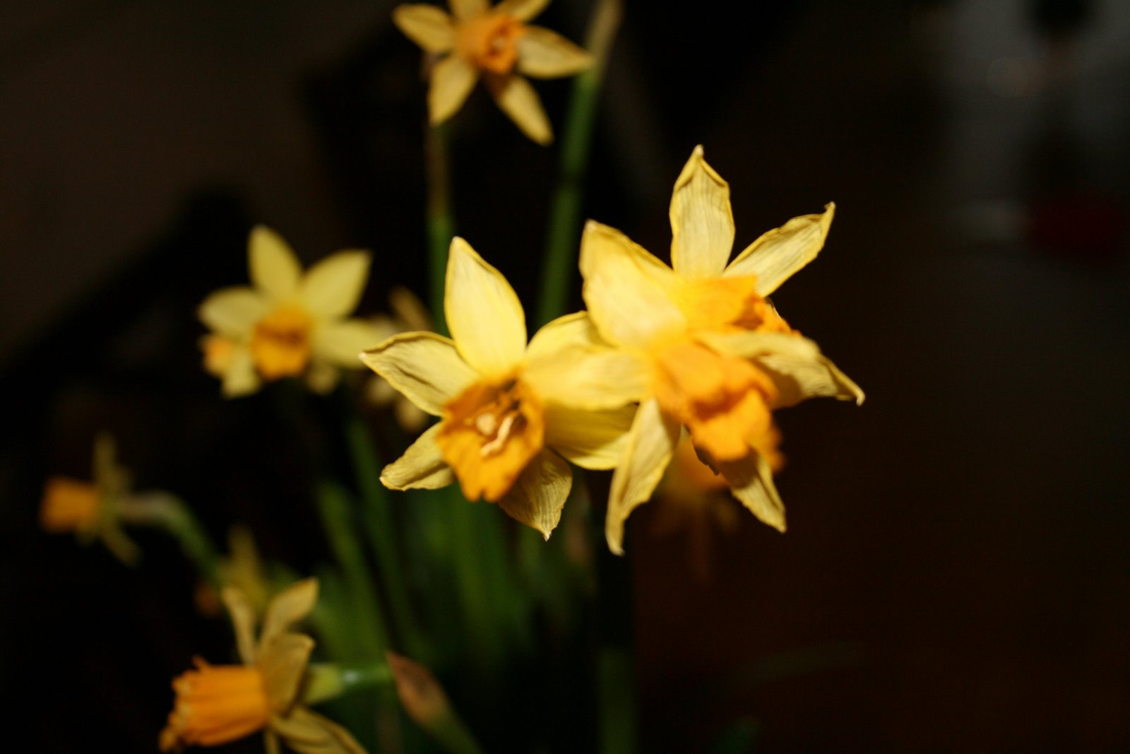 [IMG_4592.JPG]