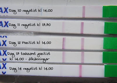 hur känner man av ägglossning hur känner man av ägglossning