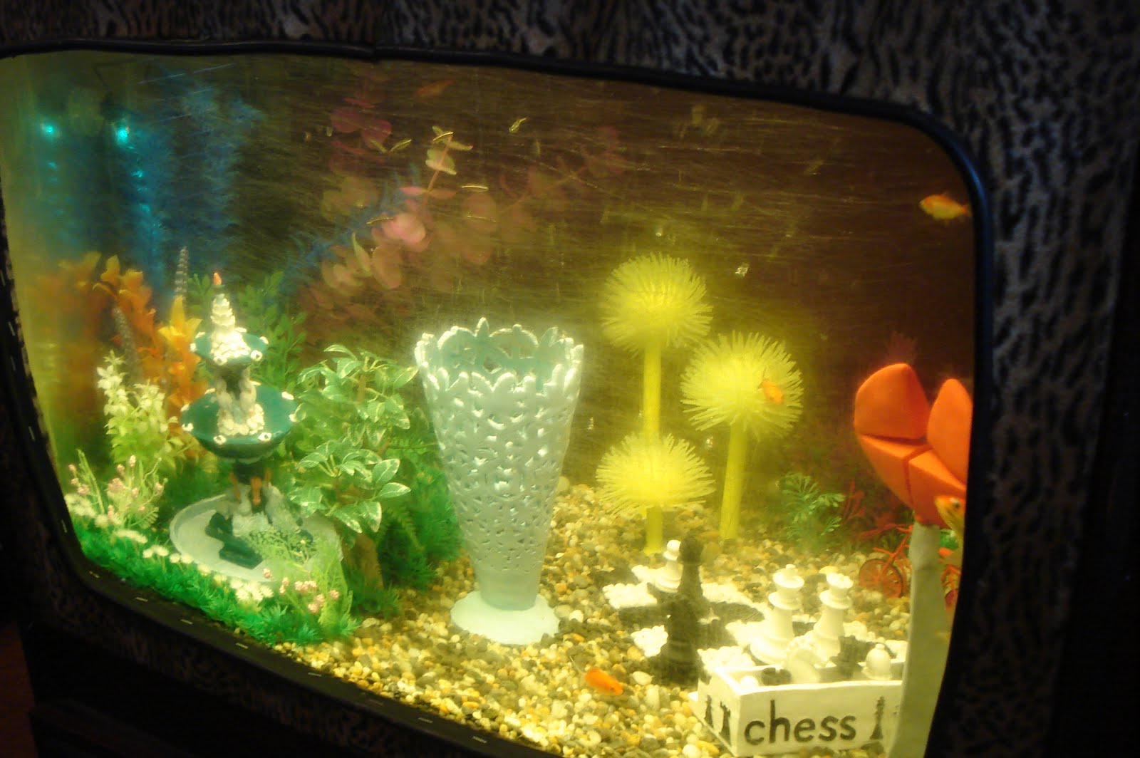 The Good The luckiest fish in Christchurch?