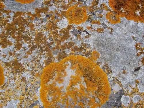 [Tempestade-Solar.jpg]