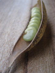 Eudlo Seed Savers Group