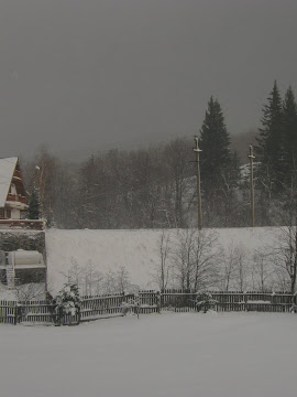 cabana in nameti