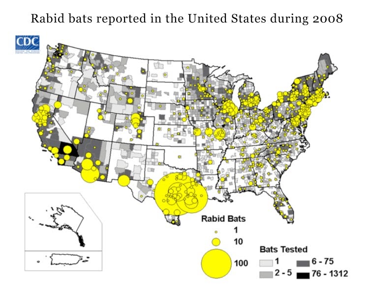 Blogus scientificus Dog/Racoon/Bat Bites Man
