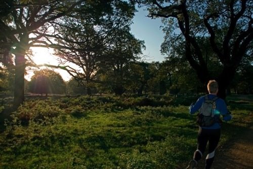 [HillRepsRichmondParkn500239668_1519368_3418.jpg]