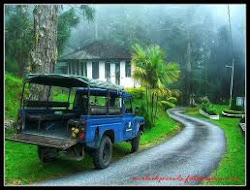 Bukit Larut, Taiping