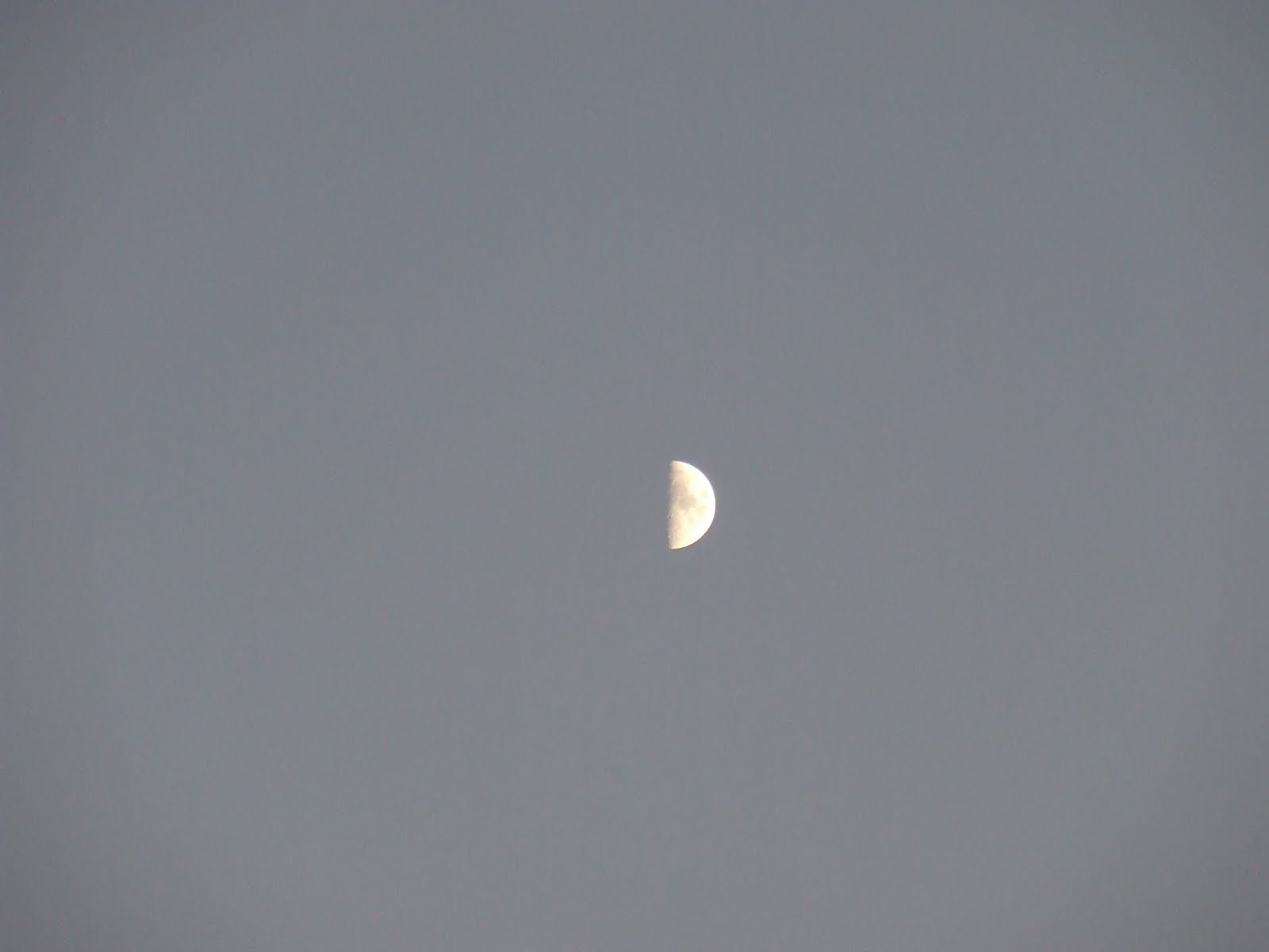 [Último+dia...+(3).JPG]