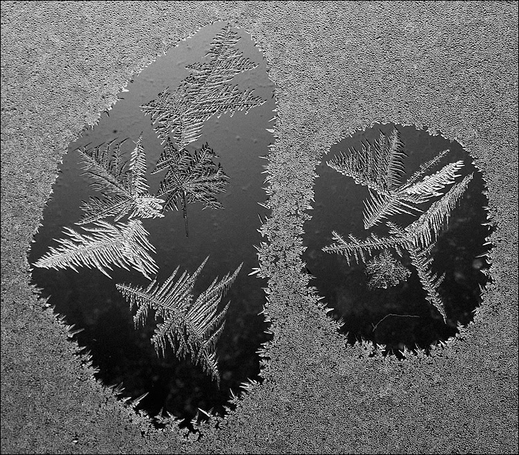 [double_frost_macro_window_01a.jpg]
