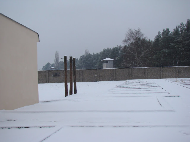 Sachsenhausen Presos políticos