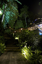 Jungle-Luxe Dining