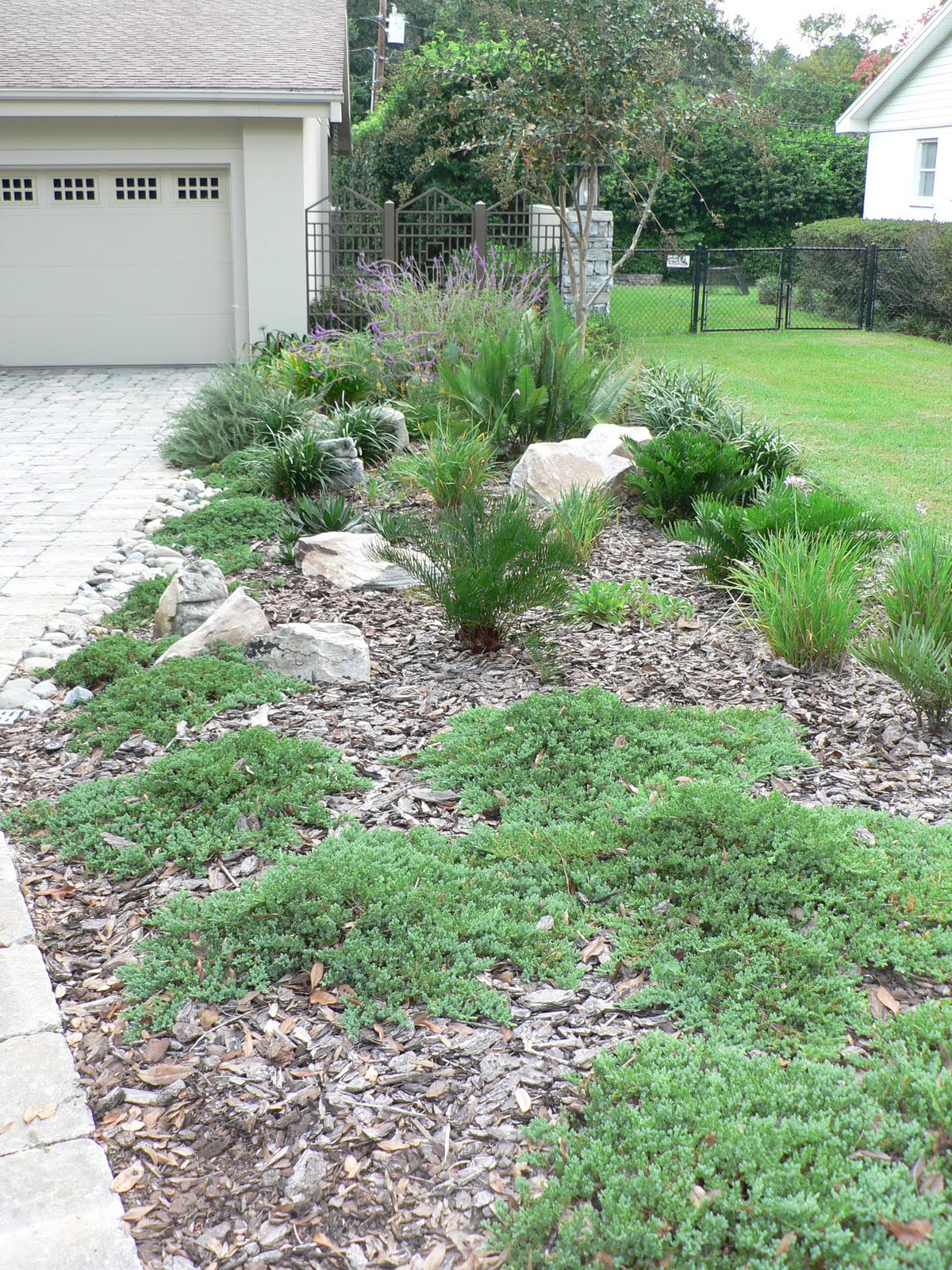 Florida Friendly Yard