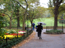 Rainy Day in Central Park, New York