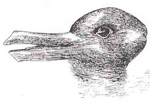 Duck Bunny Illusion