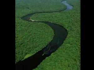 [ularbesar01uz8.jpg]