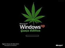 window ganja edition