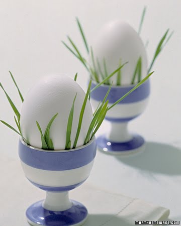 [gt019_fresheggs1_xl.jpg]