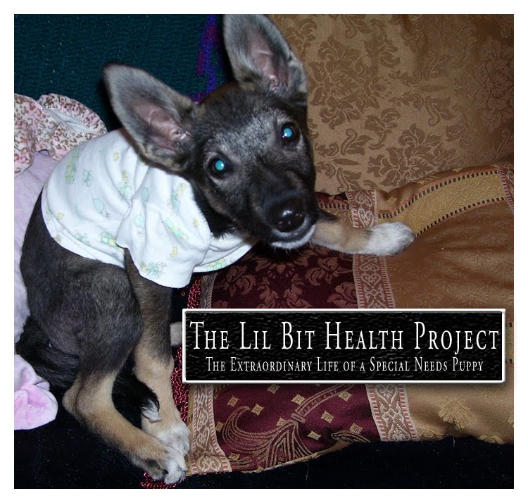 The Lil Bit Health Project