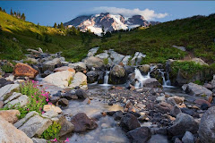 the nature