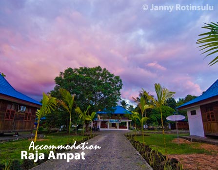 From Life Raja Ampat The Best The Best
