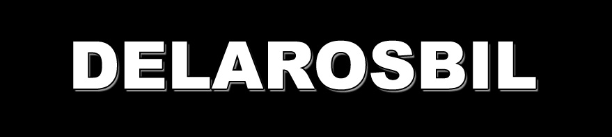 ArmandDelarosbil.com